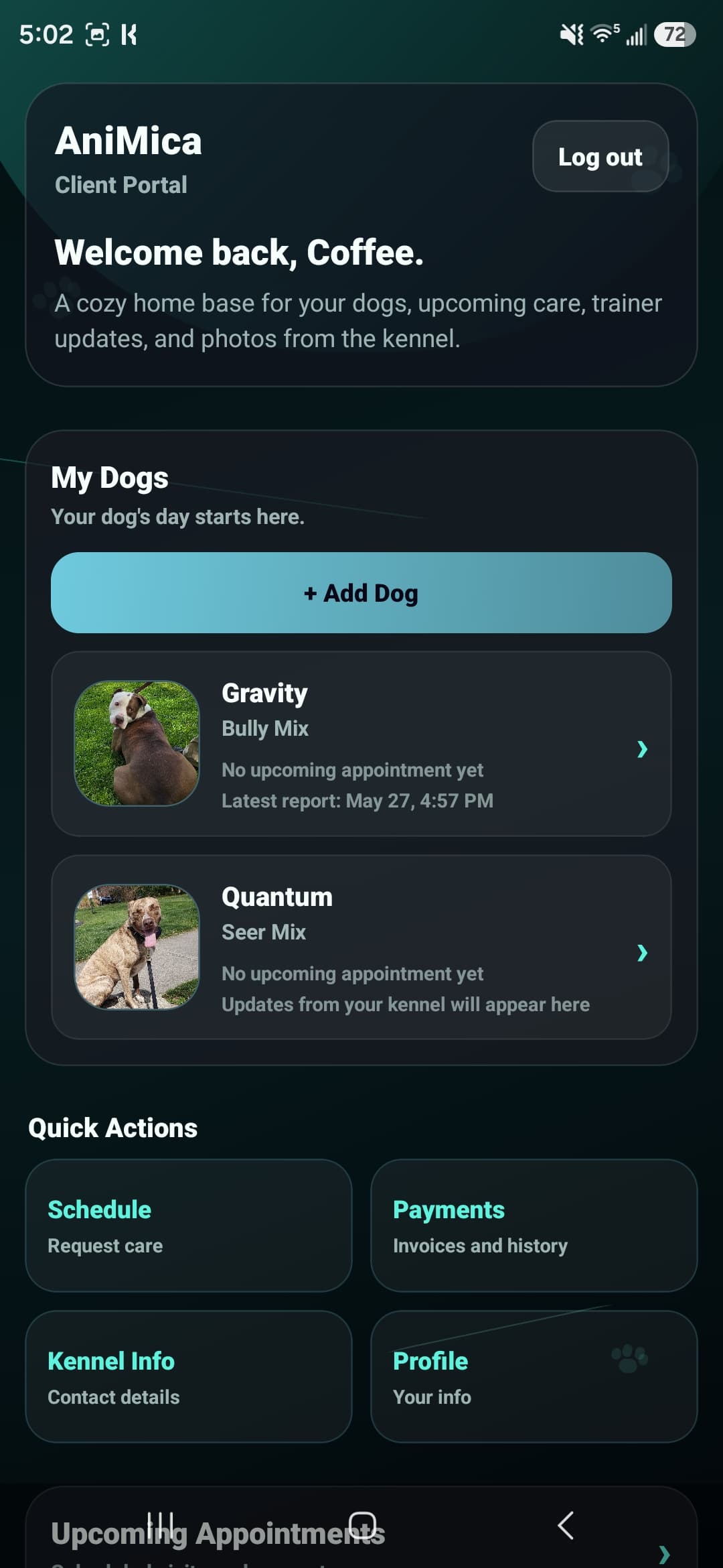 Client Portal preview